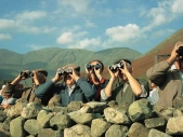 Spectators with binoculars watching a hound trail