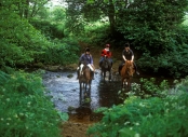 Bailey, Kershope Forest - Horse riders fording a river