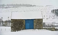Snow-covered barn ...
