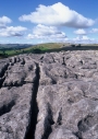 Eden Valley, Great Asby Scar - limestone pavement