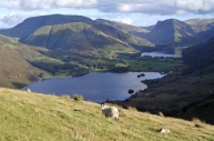Fleetwith Pike seen across Crummock Water and Buttermere