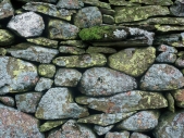 Dry stone wall detail